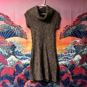 Warm, short sleeve, turtle neck winter dress. Barely worn, like new.